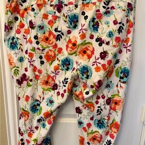 Terra & Sky Multicolor Floral Cropped Pants